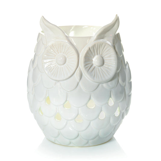 Owl - 9WT5