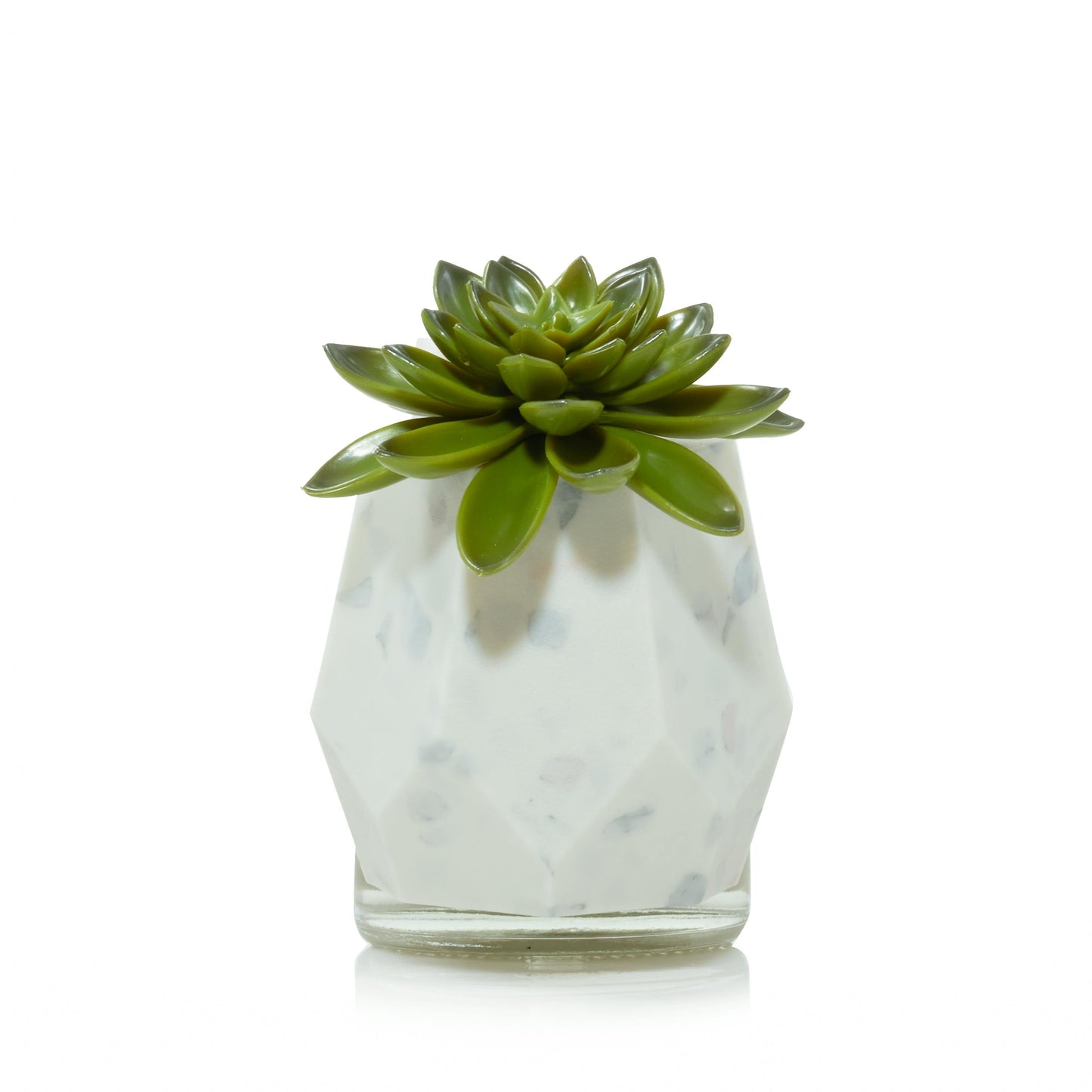 Faceted Succulent ScentPlug® Diffuser with Light - BA0H