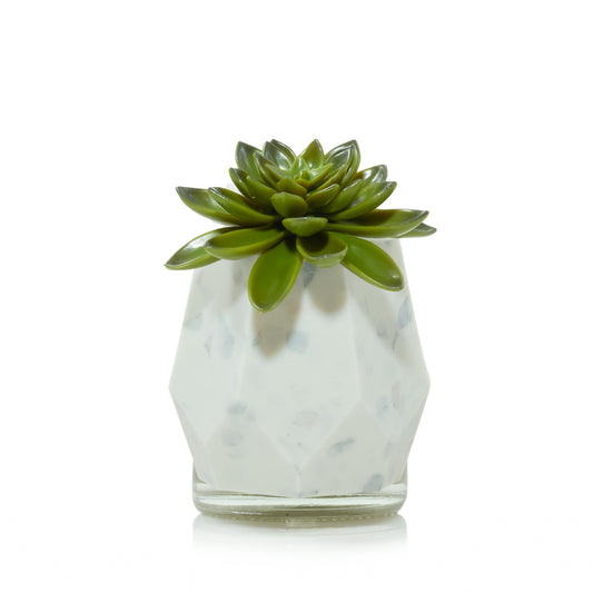 Faceted Succulent ScentPlug® Diffuser with Light - BA0H